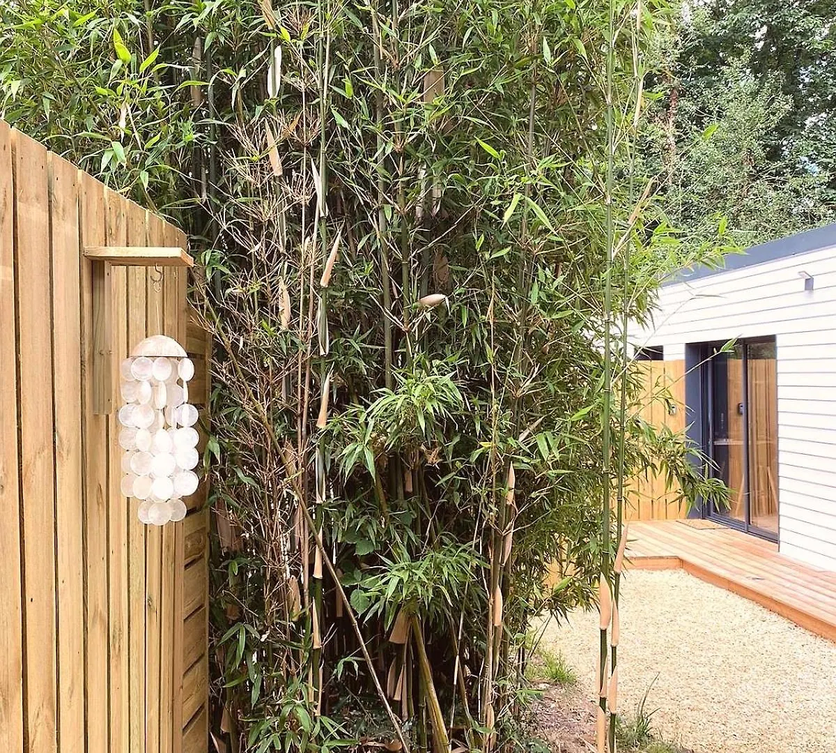 Bamboo & Spa Plelan-le-Petit